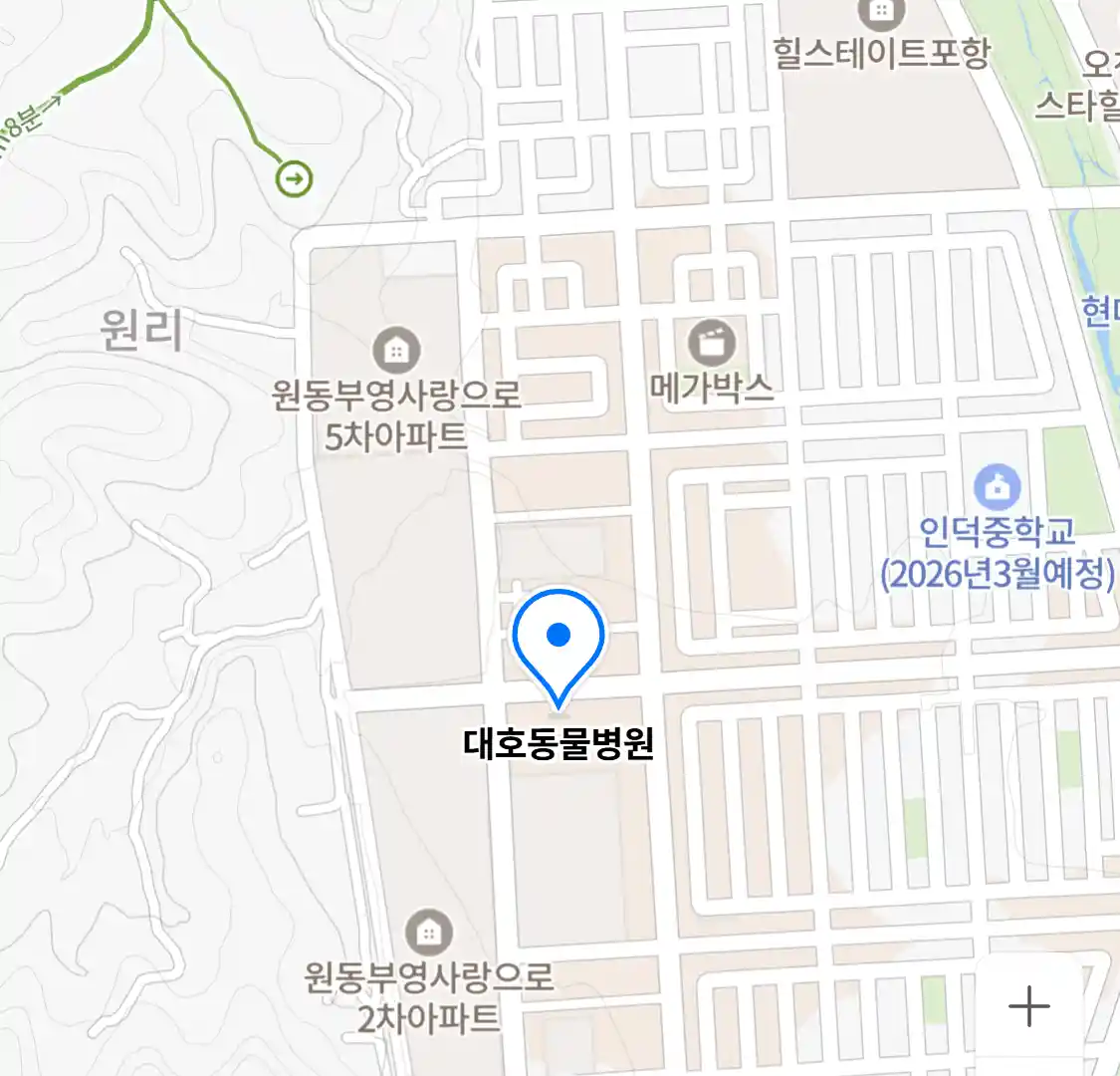 대호동물병원