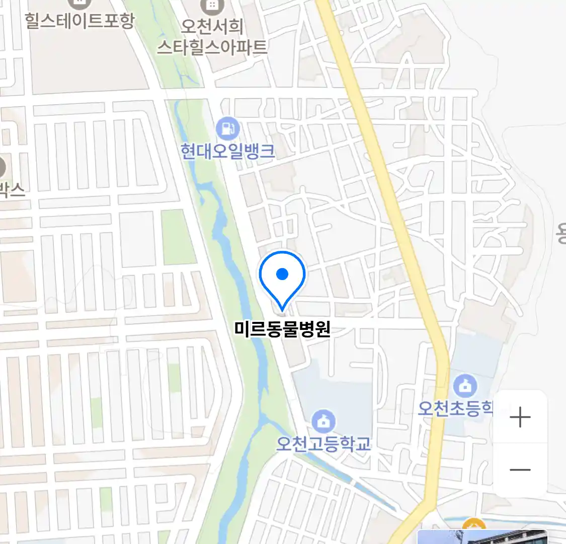 미르동물병원