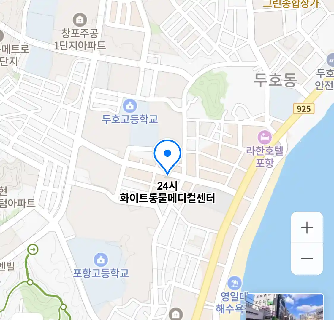 24시 화이트동물메디컬센터