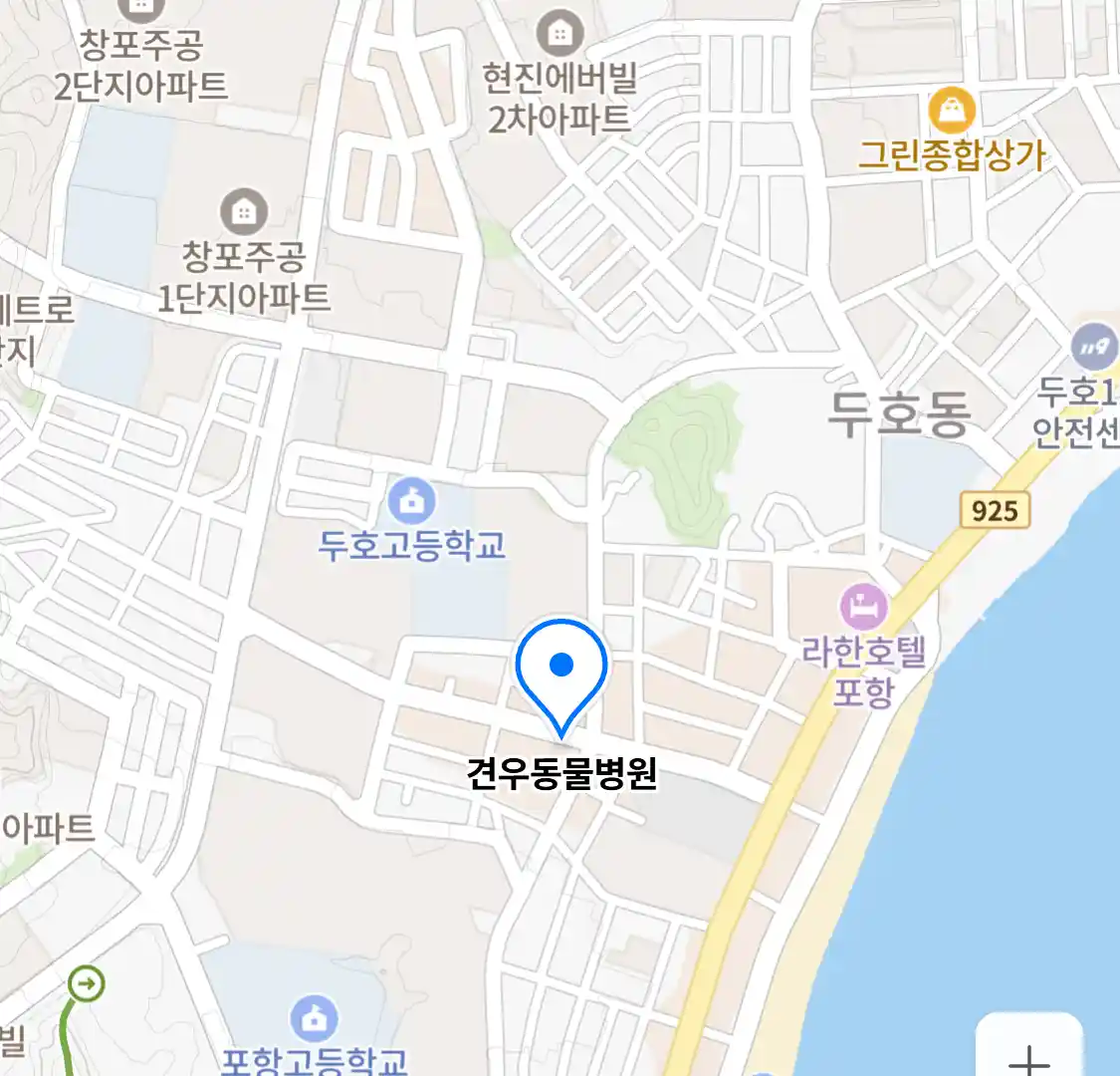 견우동물병원