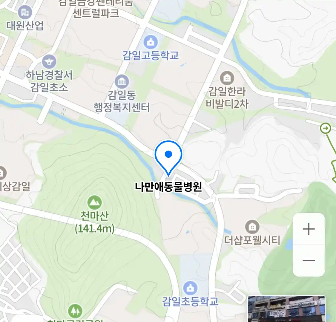 나만애동물병원