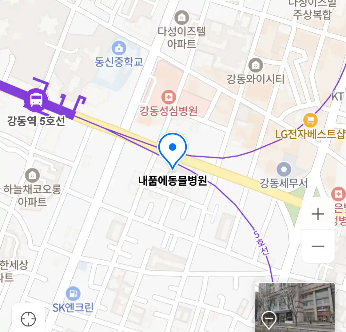 내품에동물병원