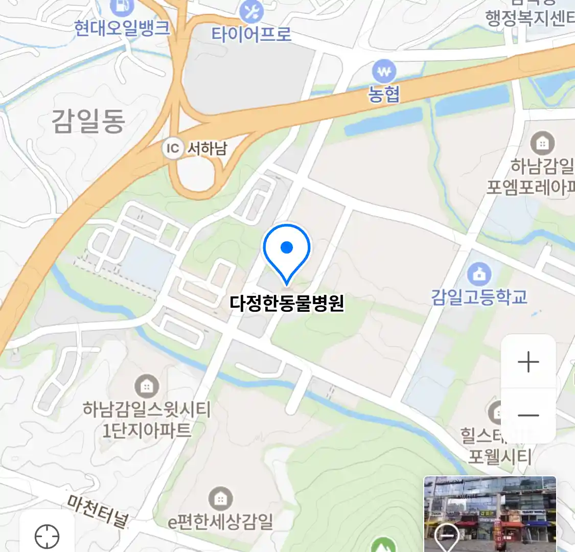 다정한동물병원