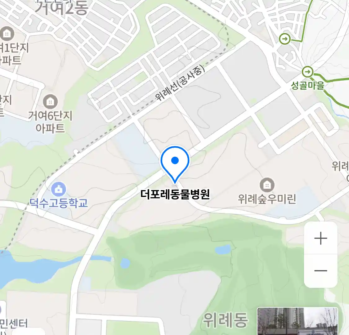 더포레동물병원