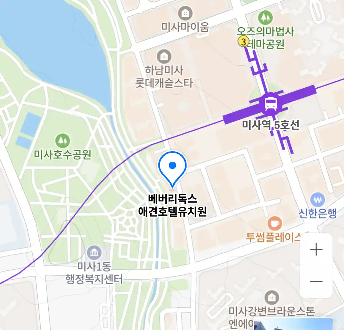 베버리독스 애견호텔유치원