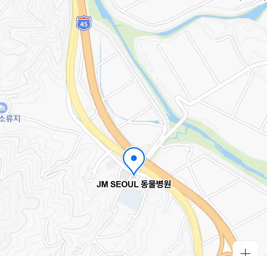 JM SEOUL 동물병원