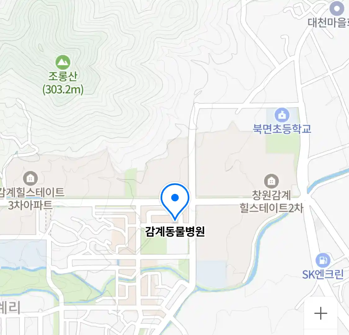 감계동물병원