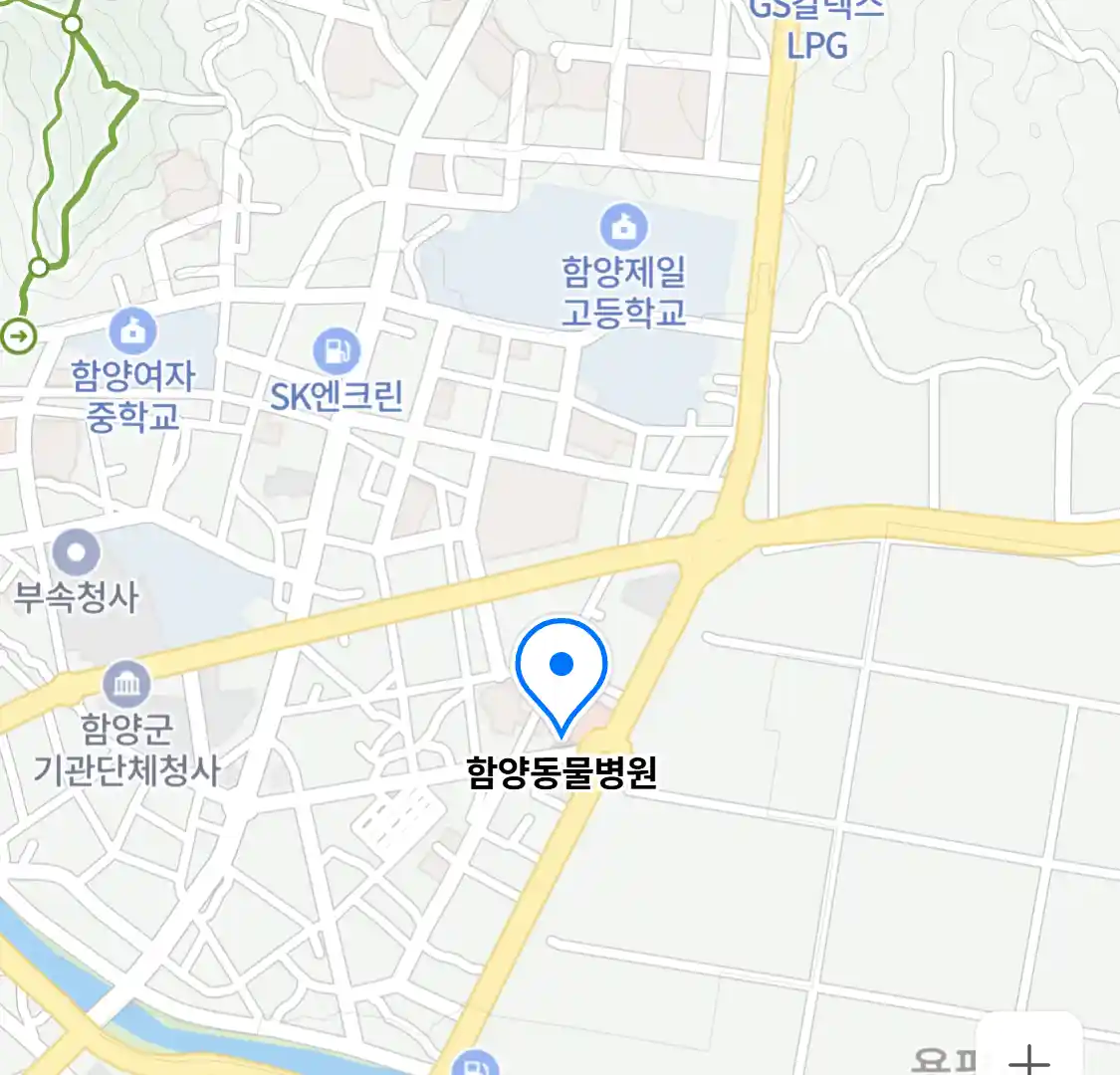 함양동물병원