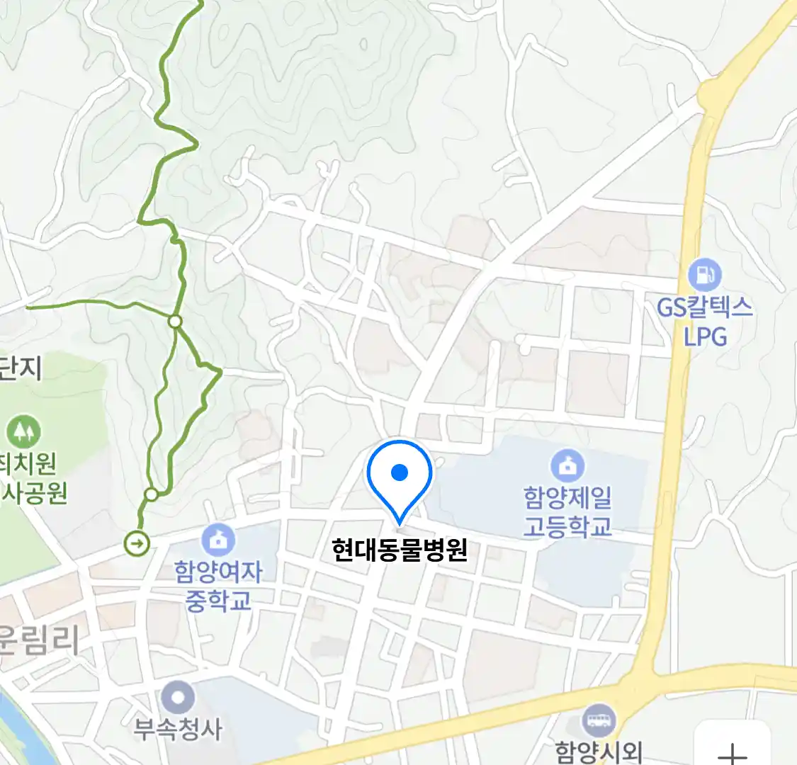 현대동물병원
