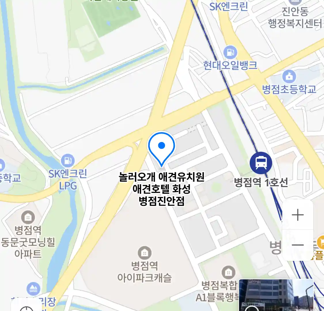 놀러오개 애견유치원 애견호텔 화성 병점진안점