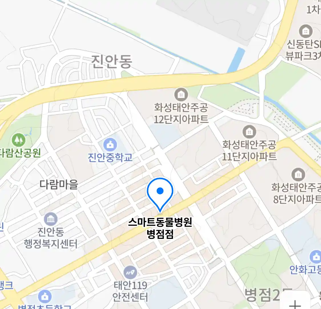 스마트동물병원 병점점
