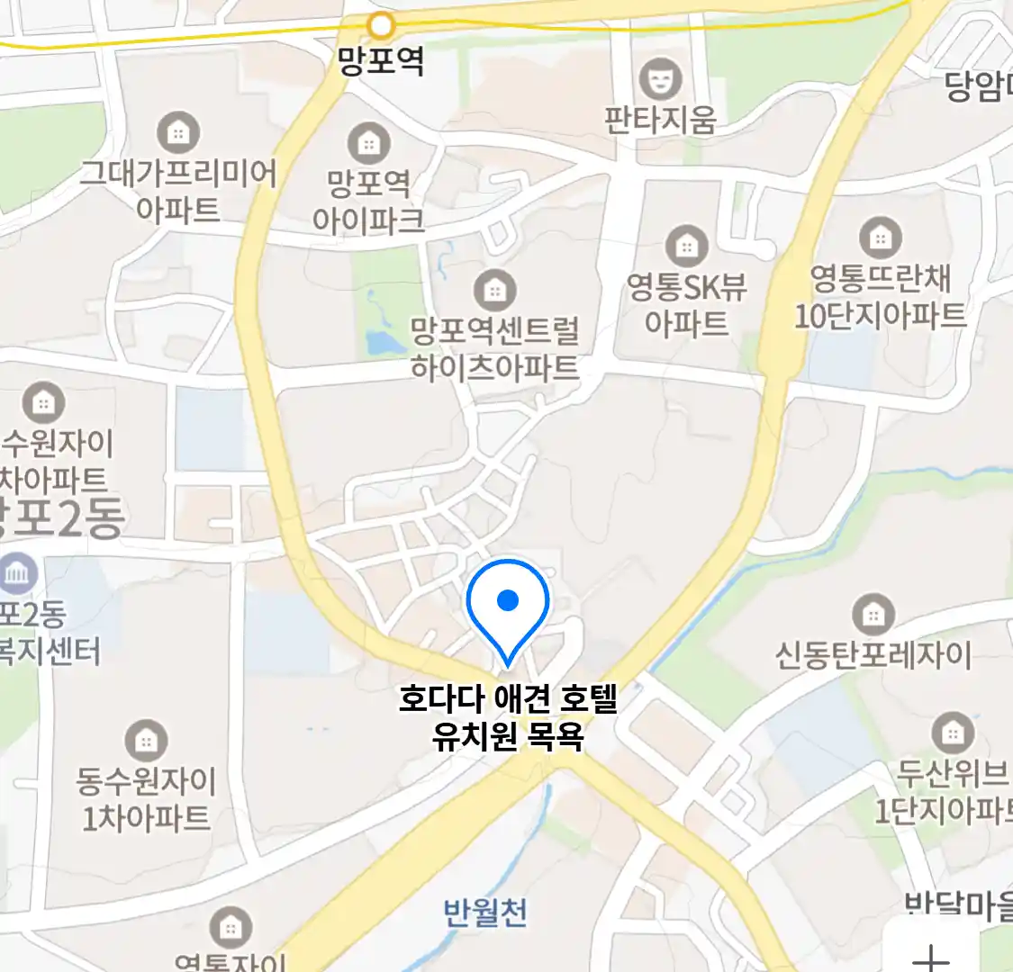 호다다 애견 호텔 유치원 목욕