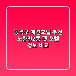 동작구 애견호텔 추천 - 노량진2동 펫 호텔 정보 비교