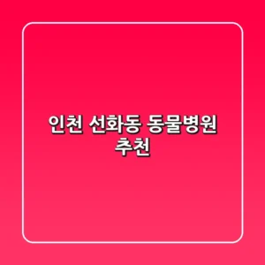인천 선화동 동물병원 추천