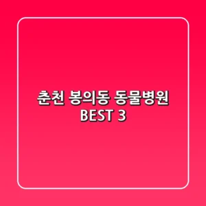 춘천 봉의동 동물병원 BEST 3