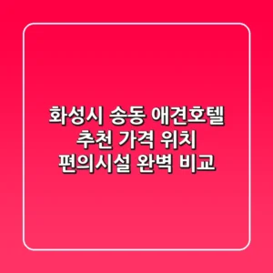 화성시 송동 애견호텔 추천: 가격, 위치, 편의시설 완벽 비교