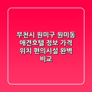 부천시 원미구 원미동 애견호텔 정보: 가격, 위치, 편의시설 완벽 비교