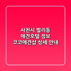 사천시 벌리동 애견호텔 정보: 코코애견샵 상세 안내