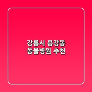 강릉시 용강동 동물병원 추천