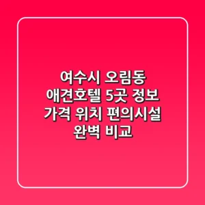 여수시 오림동 애견호텔 5곳 정보 - 가격, 위치, 편의시설 완벽 비교