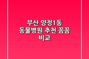 부산 양정1동 동물병원 추천: 꼼꼼 비교