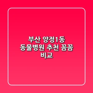 부산 양정1동 동물병원 추천: 꼼꼼 비교