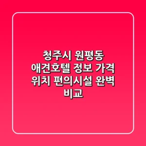 청주시 원평동 애견호텔 정보: 가격, 위치, 편의시설 완벽 비교