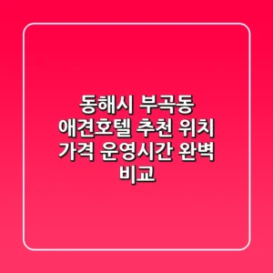 동해시 부곡동 애견호텔 추천 - 위치, 가격, 운영시간 완벽 비교