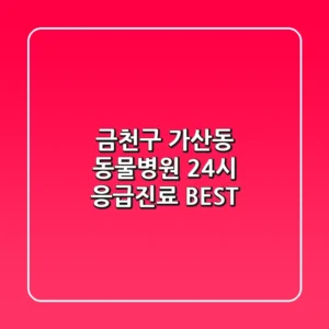금천구 가산동 동물병원 : 24시 응급진료 BEST
