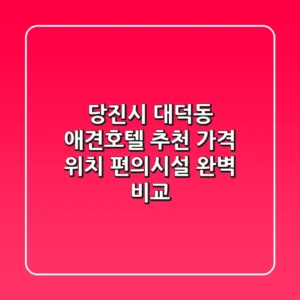 당진시 대덕동 애견호텔 추천 - 가격, 위치, 편의시설 완벽 비교