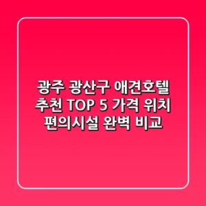 광주 광산구 애견호텔 추천 TOP 5 - 가격, 위치, 편의시설 완벽 비교