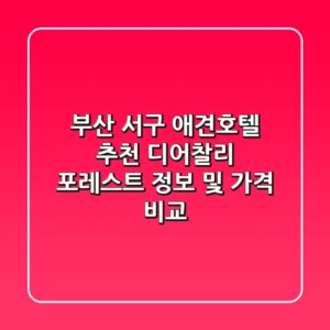 부산 서구 애견호텔 추천 - 디어찰리 포레스트 정보 및 가격 비교