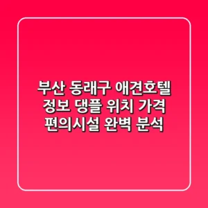 부산 동래구 애견호텔 정보: 댕플 위치, 가격, 편의시설 완벽 분석