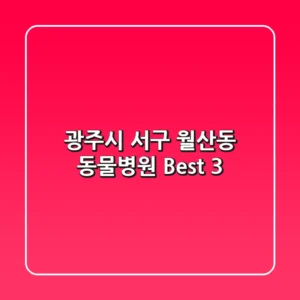 광주시 서구 월산동 동물병원 Best 3