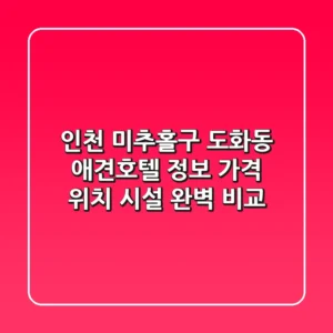 인천 미추홀구 도화동 애견호텔 정보: 가격, 위치, 시설 완벽 비교