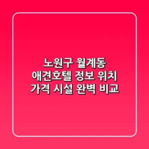 노원구 월계동 애견호텔 정보: 위치, 가격, 시설 완벽 비교