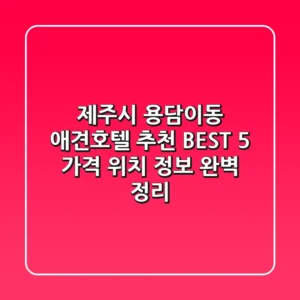 제주시 용담이동 애견호텔 추천 BEST 5 - 가격, 위치 정보 완벽 정리