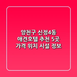 양천구 신정4동 애견호텔 추천 5곳 - 가격, 위치, 시설 정보