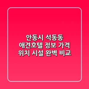 안동시 석동동 애견호텔 정보 - 가격, 위치, 시설 완벽 비교