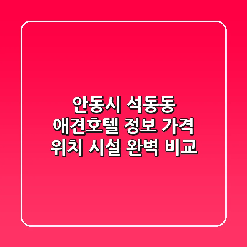 안동시 석동동 애견호텔 정보 - 가격, 위치, 시설 완벽 비교