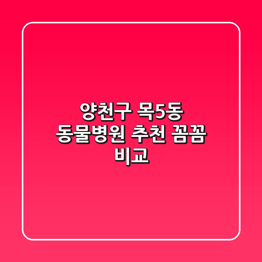 양천구 목5동 동물병원 추천: 꼼꼼 비교