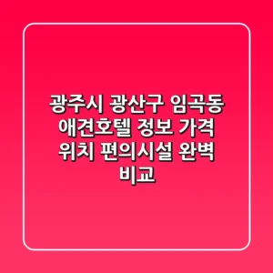 광주시 광산구 임곡동 애견호텔 정보: 가격, 위치, 편의시설 완벽 비교
