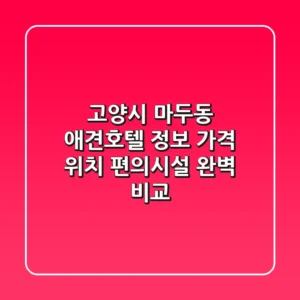 고양시 마두동 애견호텔 정보: 가격, 위치, 편의시설 완벽 비교