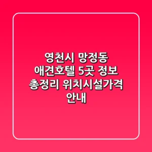 영천시 망정동 애견호텔 5곳 정보 총정리 - 위치/시설/가격 안내