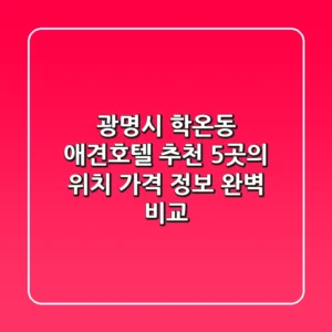 광명시 학온동 애견호텔 추천: 5곳의 위치, 가격 정보 완벽 비교