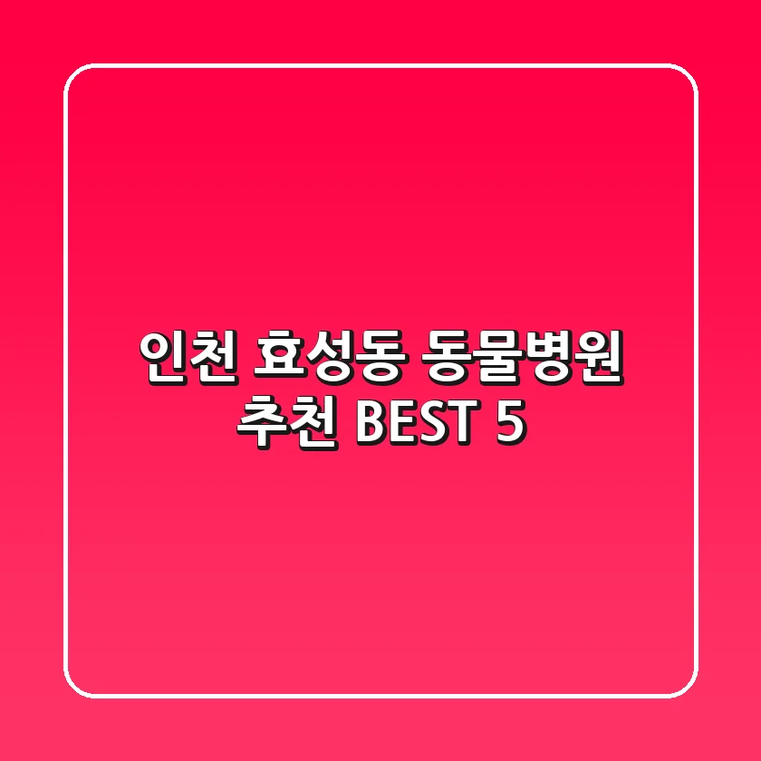 인천 효성동 동물병원 추천 BEST 5