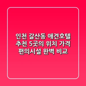 인천 갈산동 애견호텔 추천: 5곳의 위치, 가격, 편의시설 완벽 비교