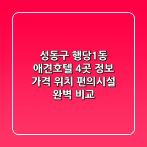 성동구 행당1동 애견호텔 4곳 정보 - 가격, 위치, 편의시설 완벽 비교