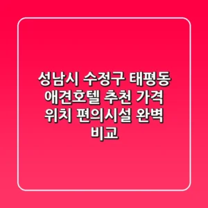 성남시 수정구 태평동 애견호텔 추천 - 가격, 위치, 편의시설 완벽 비교