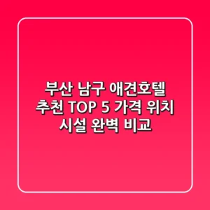 부산 남구 애견호텔 추천 TOP 5 - 가격, 위치, 시설 완벽 비교